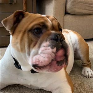 Meet your Posher, Heather